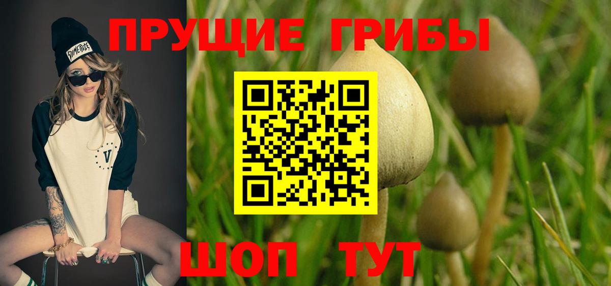 Галлюциногенные грибы ЛСД Ревда
